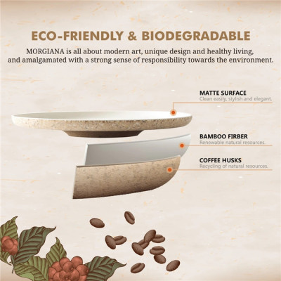 2 Pieces Coffee Husk Dinner Plates Eco Friendly Bamboo Plates Set