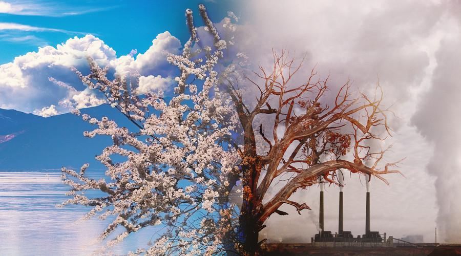 Environmental pollution