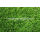 Высокое качество u-образный искусственный травы для озеленения естественный вид