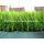Tenis hierba césped excelente rebotando propiedad y reproducción de confort
