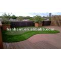 Green grass pour décoration