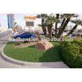 Belle jardin aspect naturel herbe