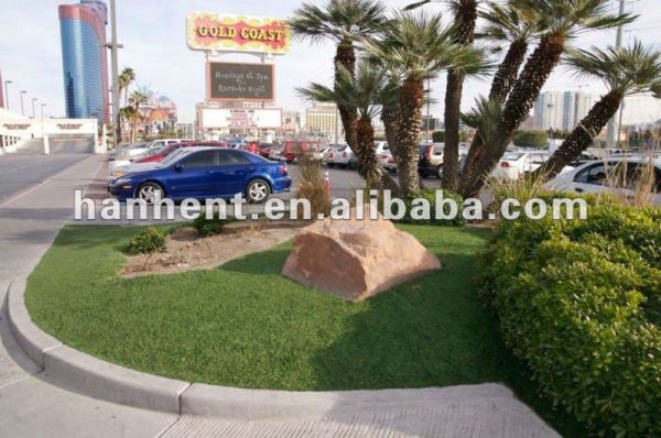 Hermoso jardín de aspecto natural hierba