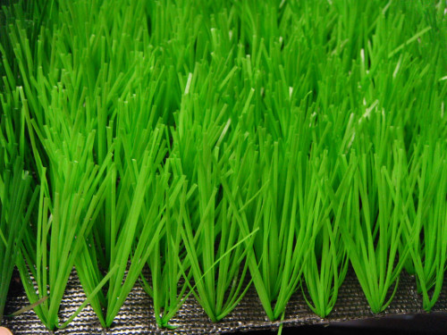 Fibrillated alta UV - estabilidad hierba para exterior del fútbol de césped artificial