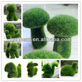Vert gazon artificiel animaux lapin
