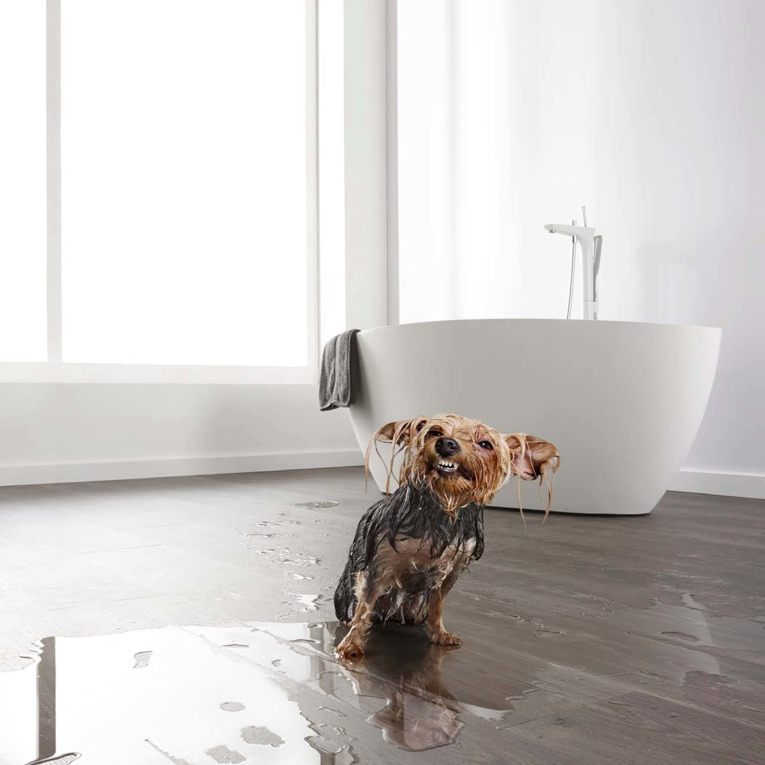 bathroom vinyl plank flooring