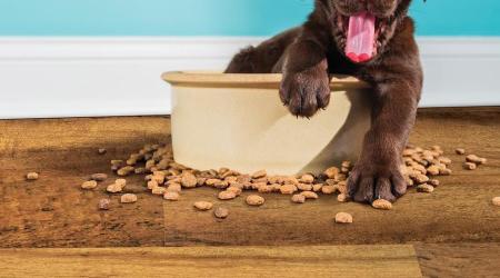 Composite Core Products