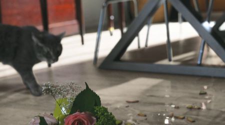 SEVEN POPULAR COLORS OF INTERIOR DESIGN