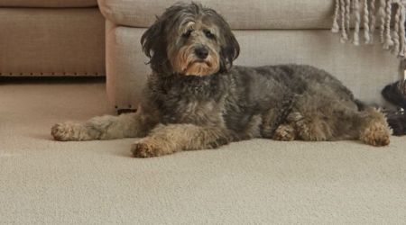 Vinyl Floor | European popular color
