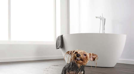 Vinyl Floor | American Popular Color