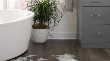 Vinyl Floor｜The call from the wild