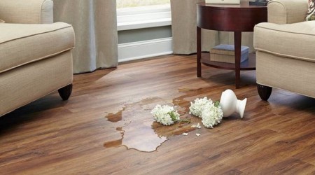 Winter｜A Meeting of Snow and Deer