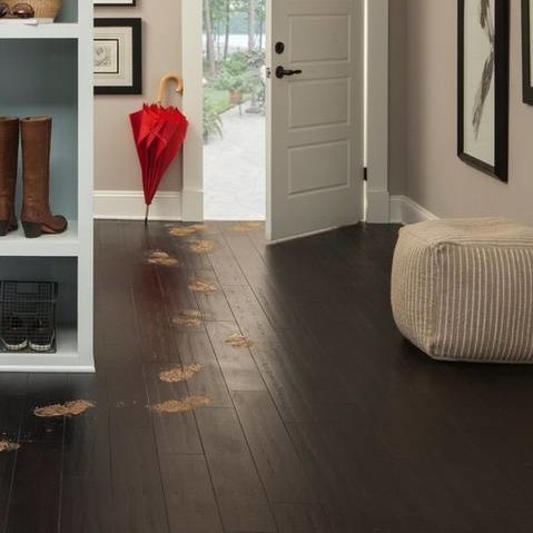 Vinyl Floor VS Hardwood Floor