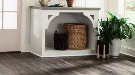 Violin｜ The melody of wood