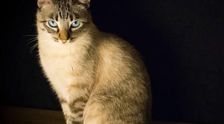 Loft apartments to create new ways of life