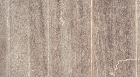 Popular green aesthetics in Europe and America, to see plants in the perfect interpretation of space!