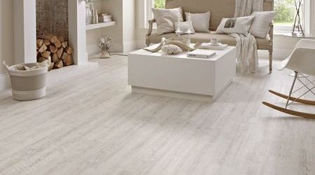 Like a forest office would you wanna go?