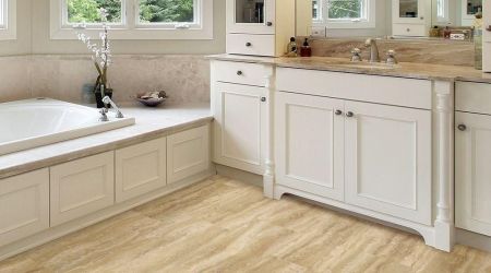 These plants can be put effectively absorbing formaldehyde!