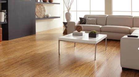 G20 Summit closes, reaching wide consensus