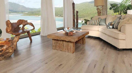 documentation specialist--Miss Amy and Over Sea sales--Miss Lily achieve promotion