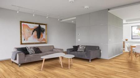 Advise our Products in a Different Way Comparied with other Company on Internet