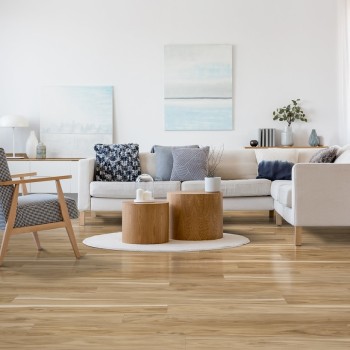Hanflor Floating Vinyl Plank Flooring 9''x48'' 5.0mm Coastal Eucalyptus Durable Children  HVP 2011