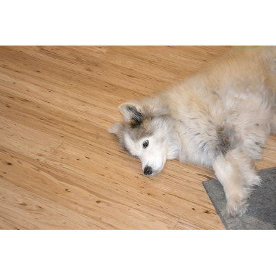 Hanflor Rigid Composite Core Vinyl Plank Flooring 9''x72'' 5.0mm Natural Eucalyptus HVP 2027