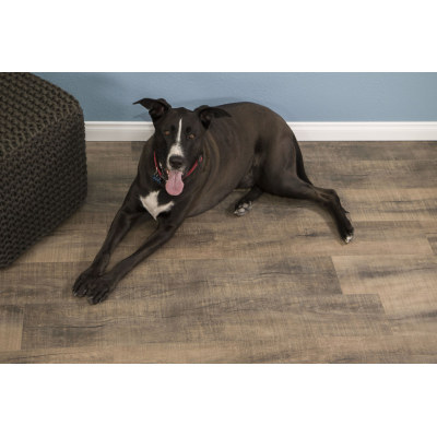 Hanflor Rigid SPC Vinyl Plank Flooring  9''x72'' 5.0mm Monterey Cheap Waterproof HVP 2036