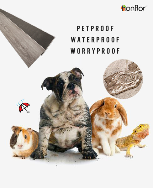 Pet friendly flooring,pet proof flooring