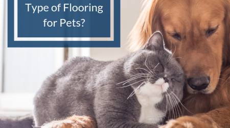 Are you looking for the best flooring for pets?