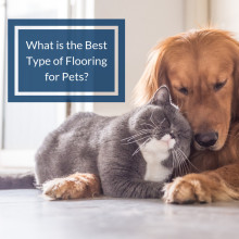 Are you looking for the best flooring for pets?