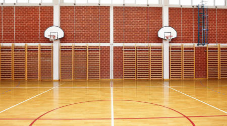 Hanflor vinyl sports flooring