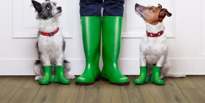 pet friendly vinyl flooring