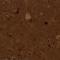 2.0MM Homogeneous Anti-Slip Antibacterial PVC Roll Flooring Vinyl Sheet For Hospital Cleanroom
