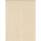 Hanflor Medical Grade Homogeneous PVC Flooring Roll 2.0MM Anti-Static and Easy Maintenance