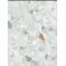 Hanflor Medical Grade Homogeneous PVC Flooring Roll 2.0MM Anti-Static and Easy Maintenance
