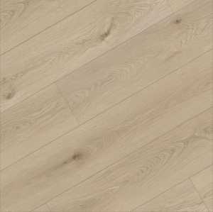 EIR Surface LVT SPC Rigid Core Click Flooring 9