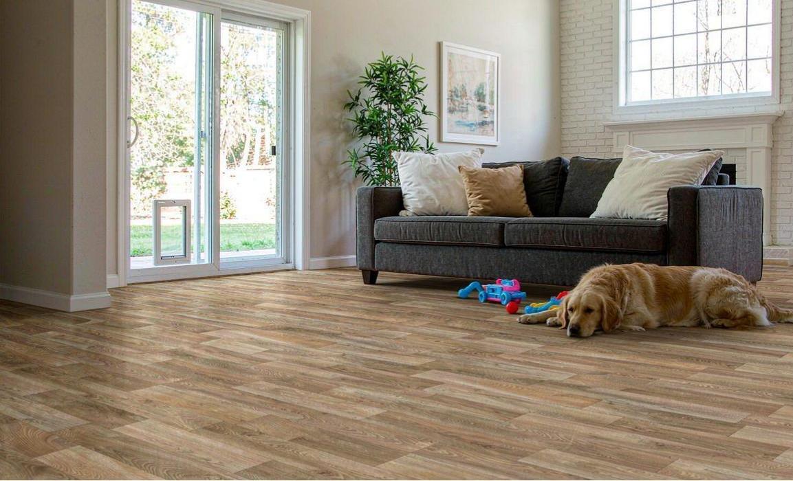 Golden retriever dog resting on durable wood-look vinyl plank flooring in a family living room