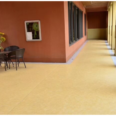 Hanflor Hospital School Vinyl Sheet Floor 20mX2M 2.0MM Colorful Antibacterial PVC Vinyl Roll Flooring