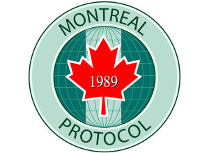 China joins Kigali signees