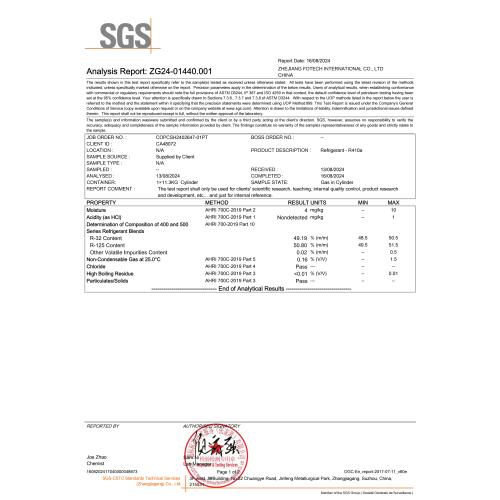 SGS REPORT