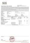 SGS REPORT