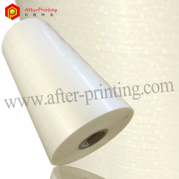 Xiamen China Manufacture Holographic PET Film Clear Images