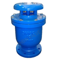 Automatic air release valve