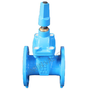 Underground resilient wedge Gate Valve