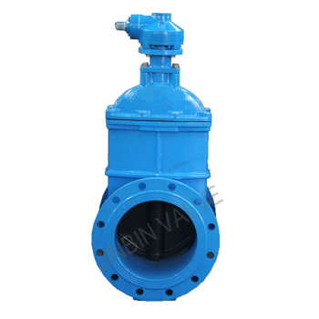 BS 5163 NRS Resilient wedge gate valve