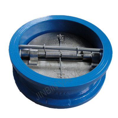 Double plate wafer check valve