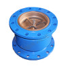 Non-slam Check Valve with spring noise emimination