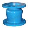 Globe style Silent check valve