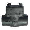 socket welded forged check valve